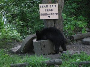 Bear Bait from Seed N Feed