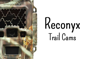 Reconyx Trail Cams